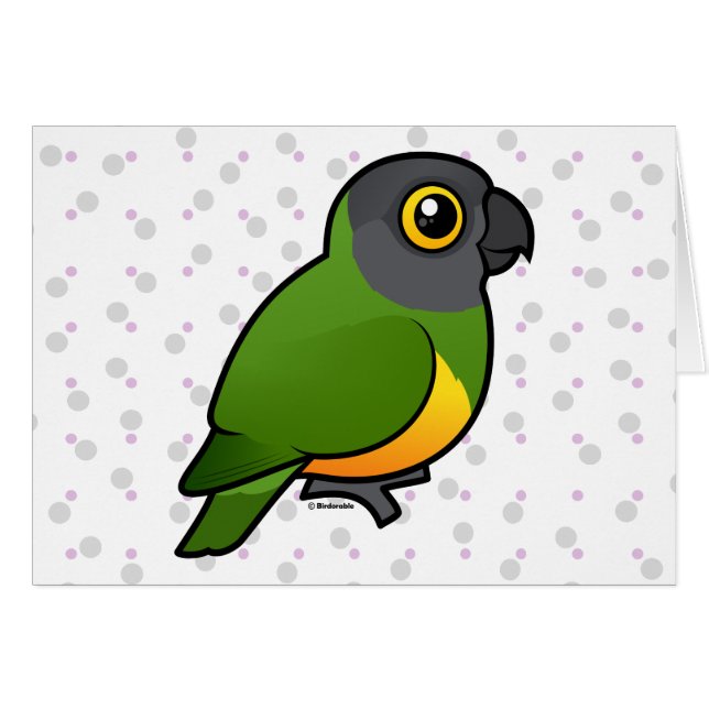 セネガルのオウム (正面横)