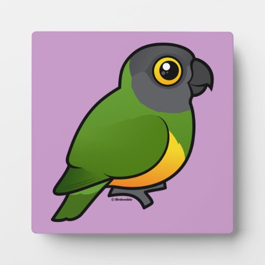 セネガルのオウム フォトプラーク (正面)
