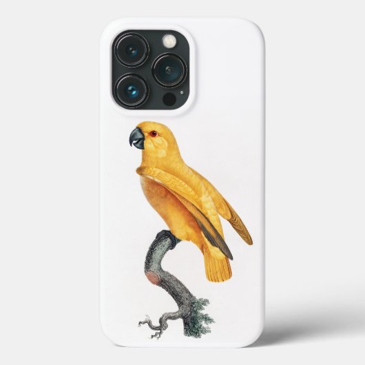 セネガルのオウム Case-Mate iPhoneケース (裏面)