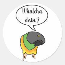 セネガルのパロットシール