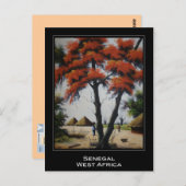 セネガルの芸術の郵便はがき ポストカード (正面/裏面)