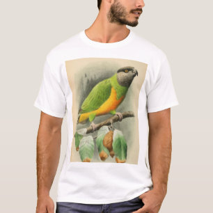 セネガルオウム、成人男性 Tシャツ