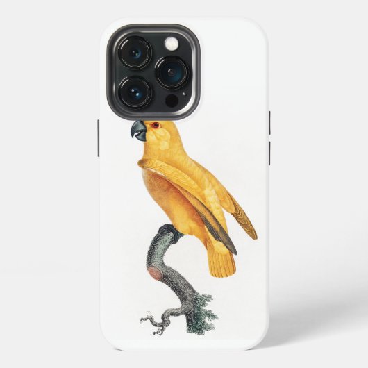セネガルオウム iPhoneケース (裏面)