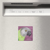 セネガルパロットパステル マグネット (インサイチュ (食洗機))