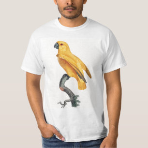 セネガルパロット Tシャツ