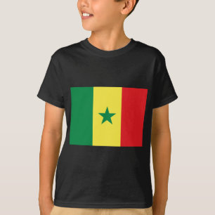 セネガル旗 Tシャツ