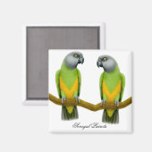 セネガル・パロッツ磁石 マグネット (正面/裏面)