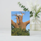 セネガル ポストカード (スタンド正面)