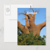 セネガル ポストカード (正面/裏面)