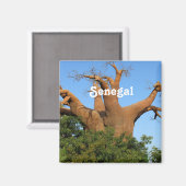 セネガル マグネット (正面/裏面)