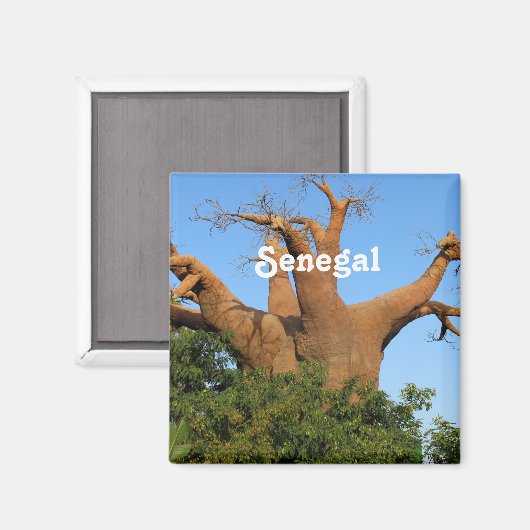 セネガル マグネット (正面/裏面)