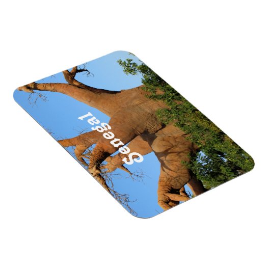 セネガル マグネット (右側)