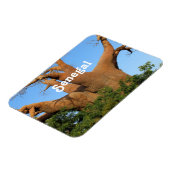 セネガル マグネット (左側)