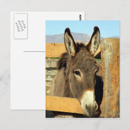 セノブルロ ポストカード (正面/裏面)