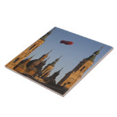 セノラ·デ·ピラル タイル (側面)