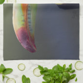 セノールタコキッチンタオル キッチンタオル (折り畳み)