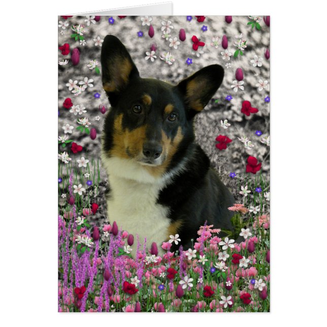 セバスチャン花のウェルシュコーギー (正面)