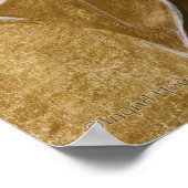 セビダ科 ポスター (角)