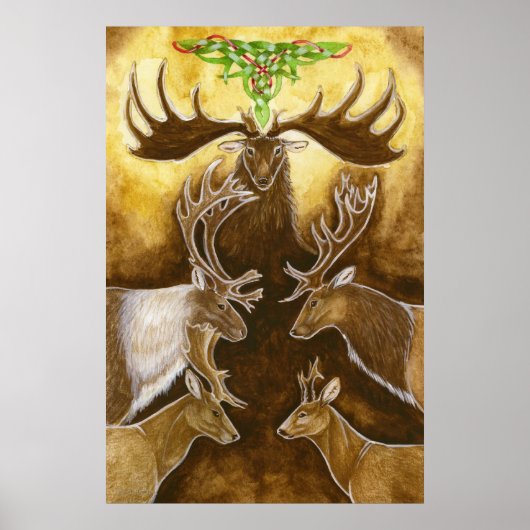 セビダ科 ポスター (正面)