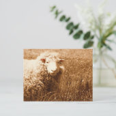 セピアのアシュリー ポストカード (スタンド正面)