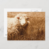 セピアのアシュリー ポストカード (正面/裏面)