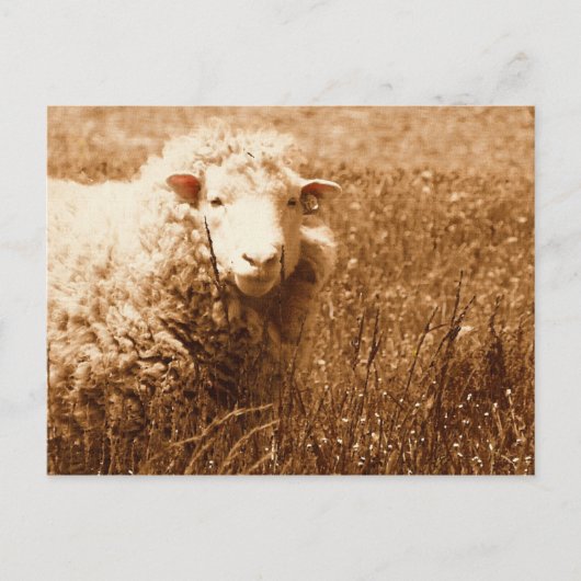 セピアのアシュリー ポストカード (正面)