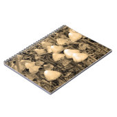 セピアのキノコ ノートブック (左側)