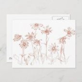 セピアのデイジー ペンとインクの花のドローイング ポストカード (正面/裏面)