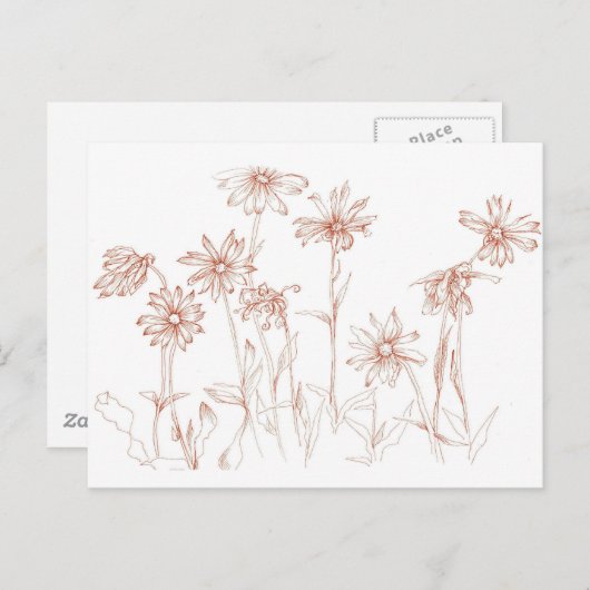 セピアのデイジー ペンとインクの花のドローイング ポストカード (正面/裏面)