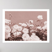 セピアのバラの花の庭園 写真 アートプリント ポスター (正面)