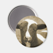 セピアの子羊 マグネット (正面/裏面)