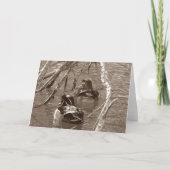 セピアの木のアヒルのドレイクとヘン カード (正面)