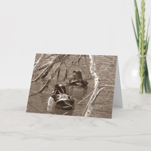 セピアの木のアヒルのドレイクとヘン カード (正面)