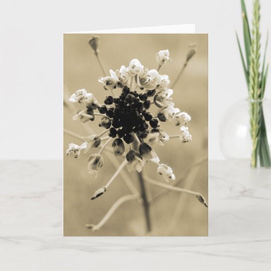 セピアの羊飼いの財布 カード (正面)