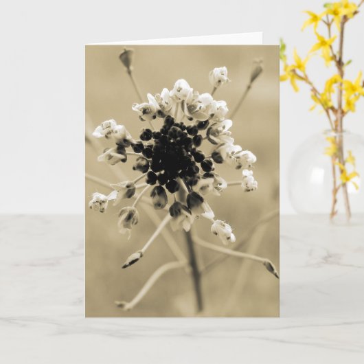 セピアの羊飼いの財布 カード (黄色い花)