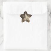 セピアの美しい猫スタイル 星シール (バッグ)