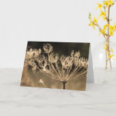 セピアの花とクモくもの巣 カード (黄色い花)