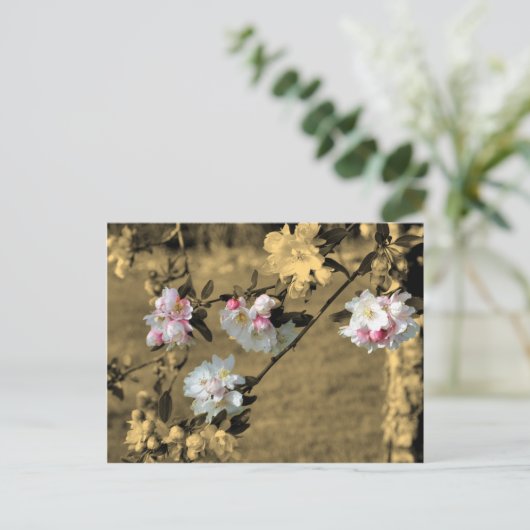 セピアの花のポストカードに咲く花 ポストカード (スタンド正面)