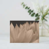 セピアの花花びら ポストカード (スタンド正面)