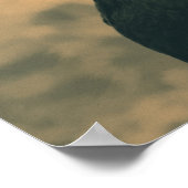 セピアの雄鶏 ポスター (角)