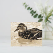 セピアの鴨 ポストカード (スタンド正面)