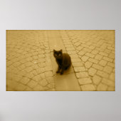 セピアの黒猫 ポスター (正面)