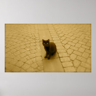 セピアの黒猫 ポスター