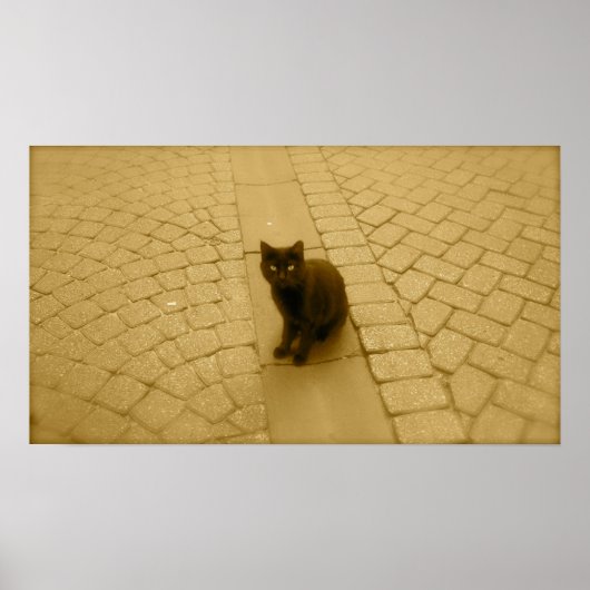 セピアの黒猫 ポスター (正面)