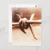 セピアのBarbwireとSpider Web ポストカード (正面/裏面)