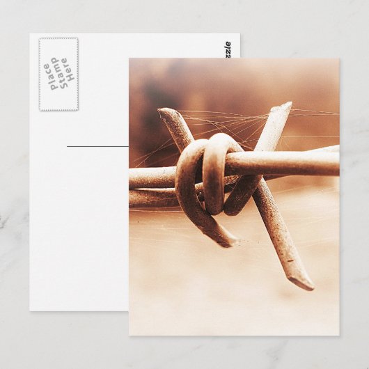 セピアのBarbwireとSpider Web ポストカード (正面/裏面)