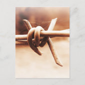 セピアのBarbwireとSpider Web ポストカード (正面)