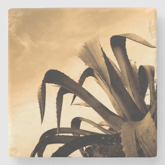 セピアアロエ植物写真 ストーンコースター (正面)