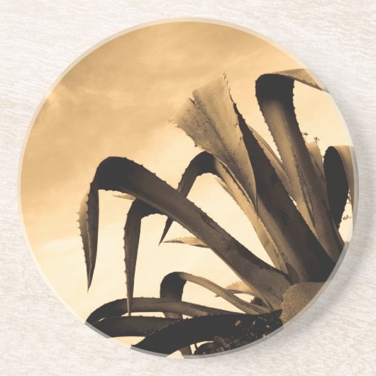 セピアアロエ植物 コースター (正面)