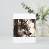 セピアウルフ&ムーン ポストカード (スタンド正面)